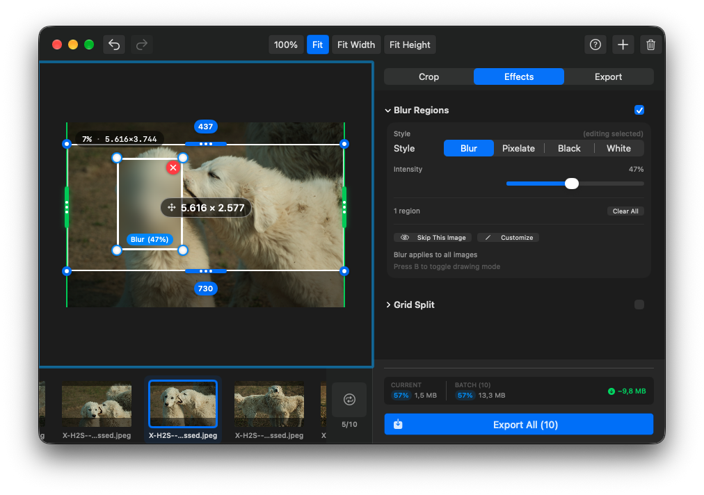 Blur controls with a selected region and per-image options