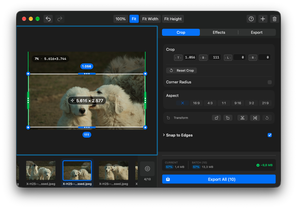 CropBatch 1.7 crop editor with batch thumbnails and visual crop handles