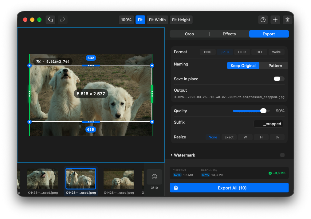 Export format, naming, quality, and resize controls