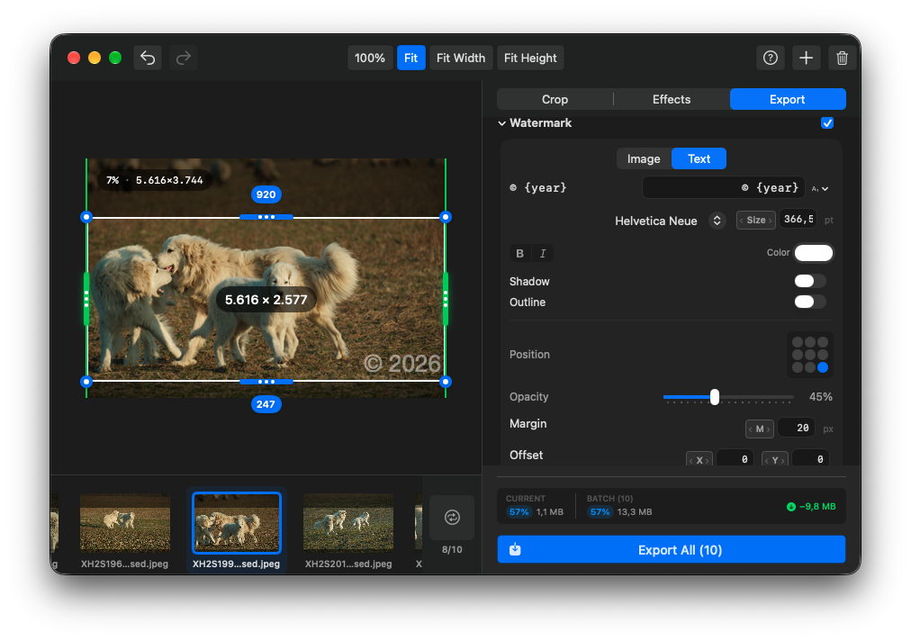 Text watermark preview with position and opacity controls
