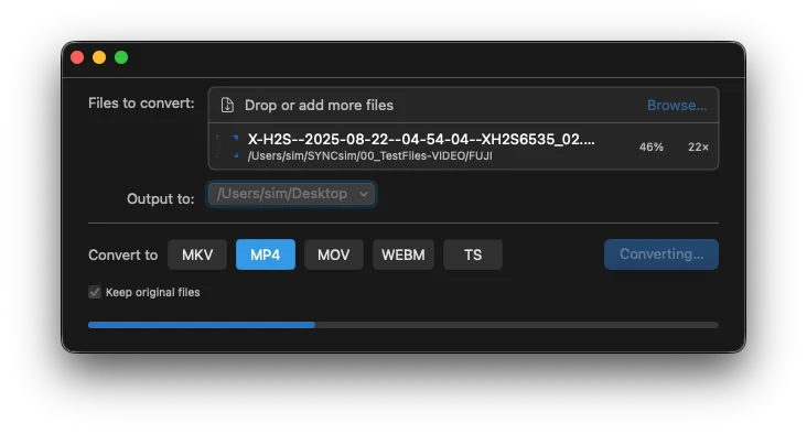 VideoContainerSwitcher converting a file to MP4 — live progress bar at 46 percent and 22× realtime speed
