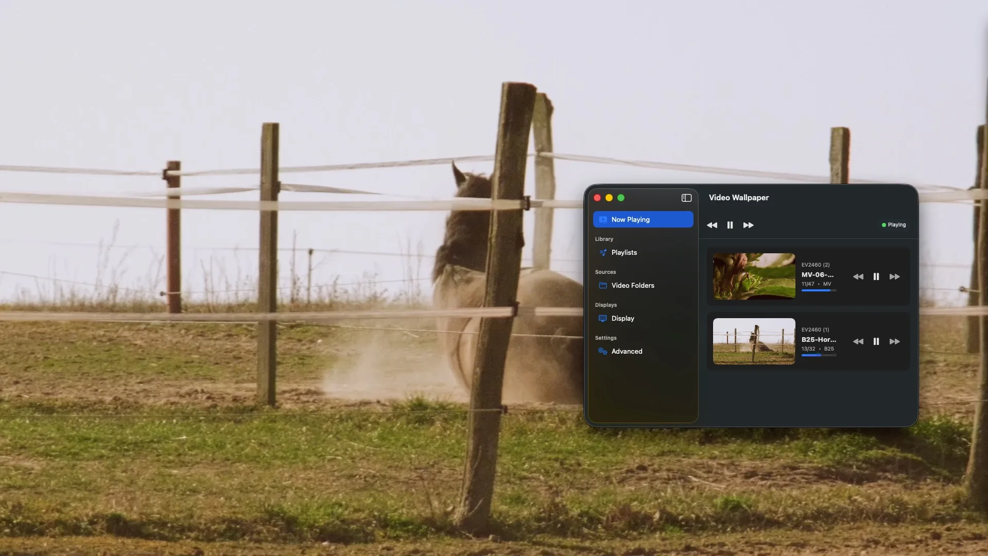 VideoWallpaper running on a Mac desktop